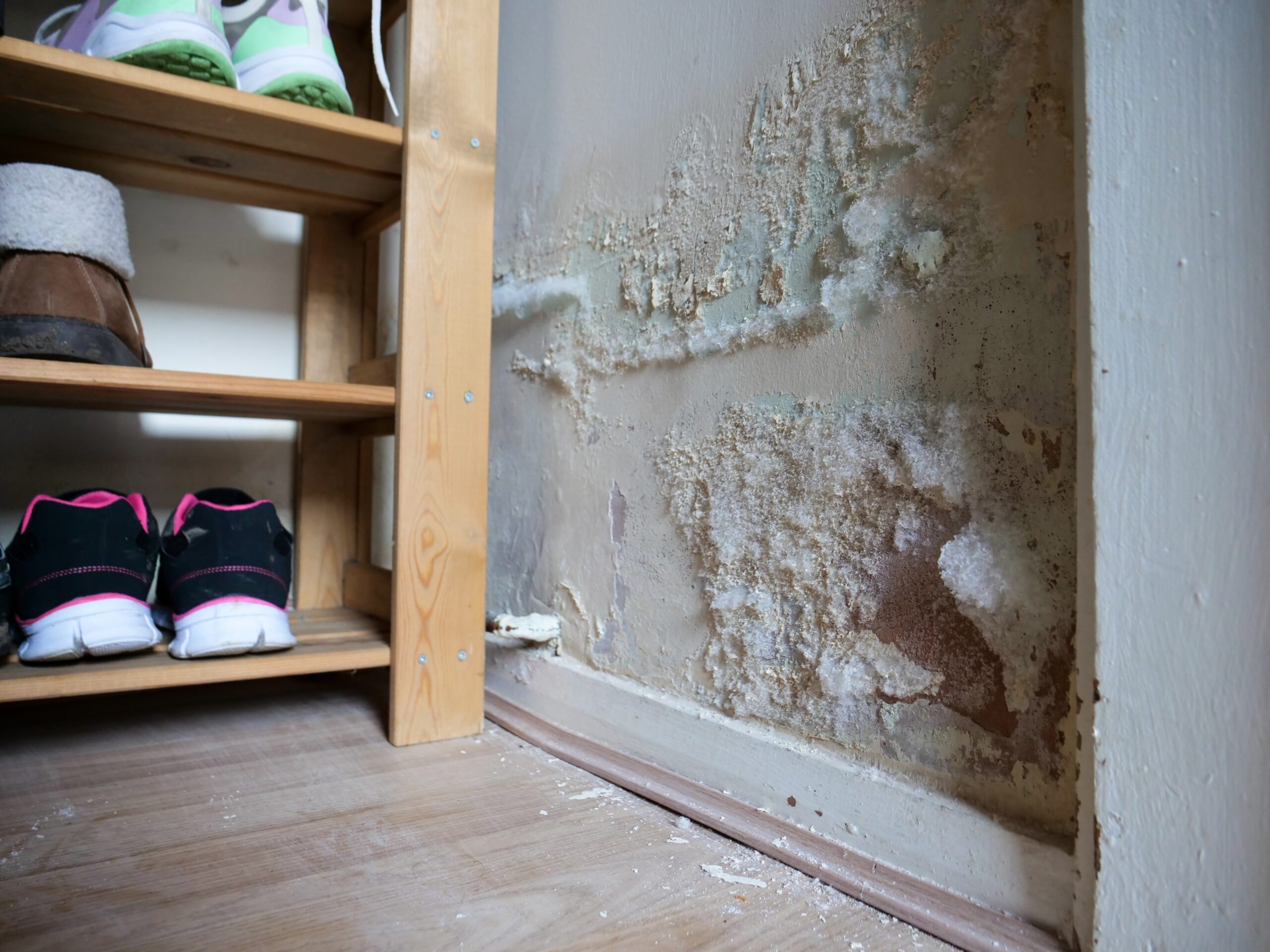 white mould