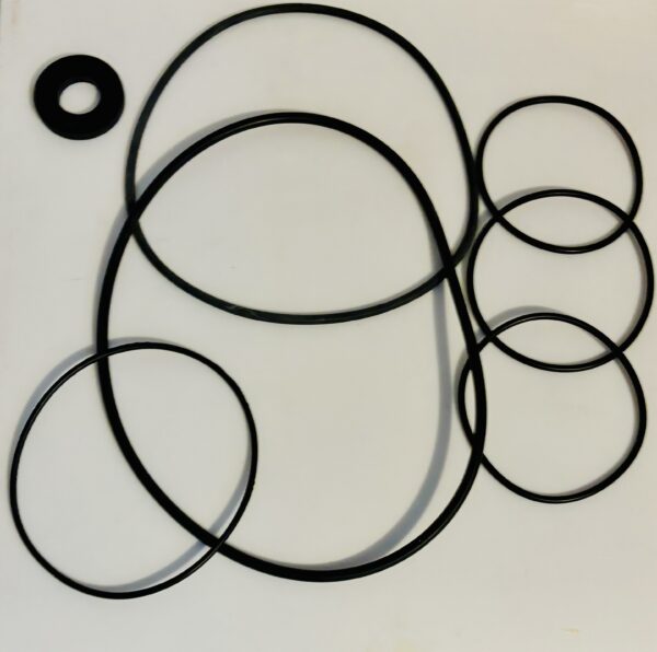 Astral Maxim Pump Gasket Set