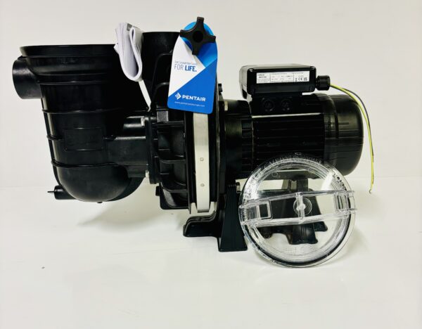 STA-RITE P-STR-101 Pump