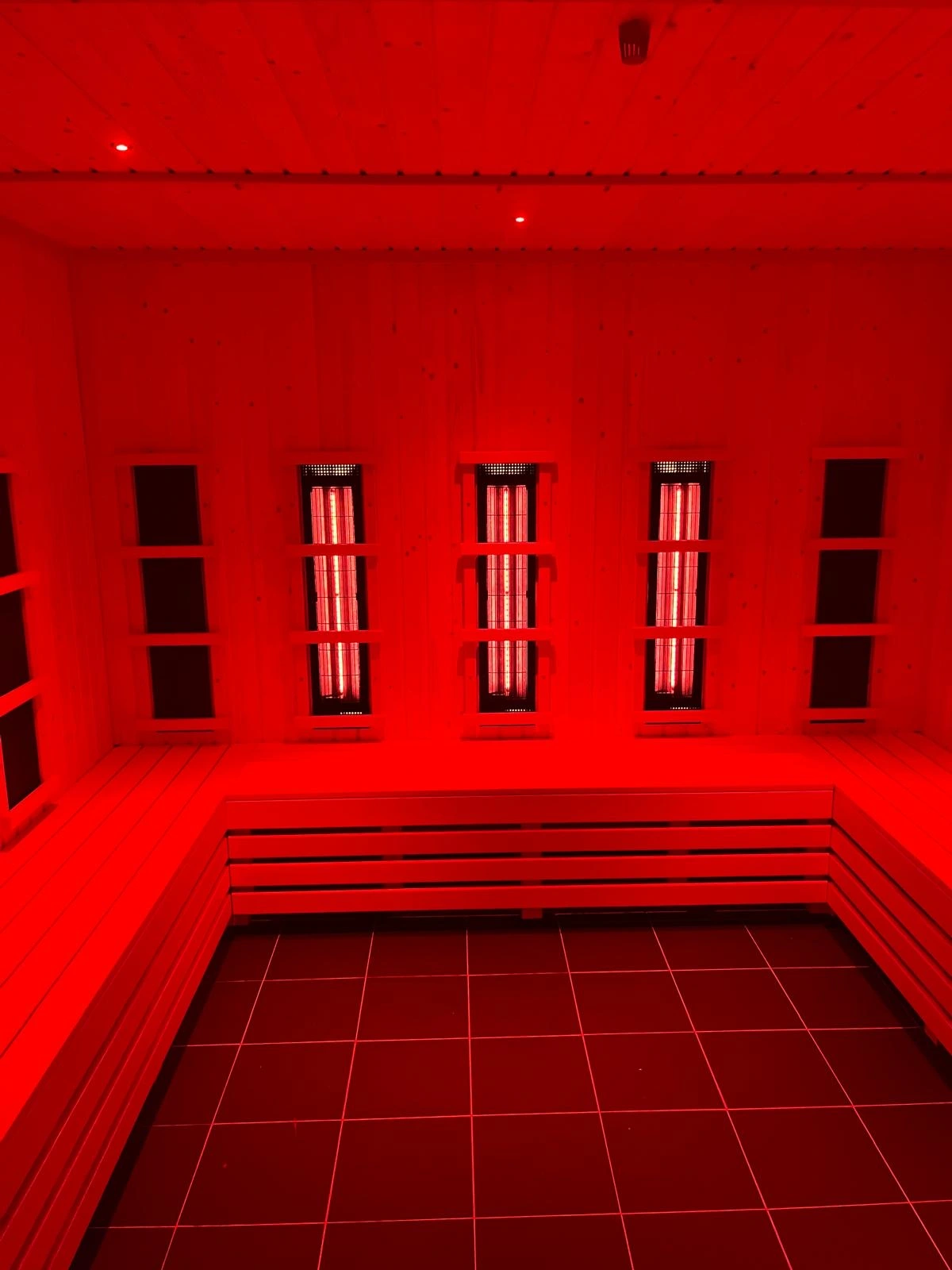 Why Add Red Light Therapy to Your Sauna?